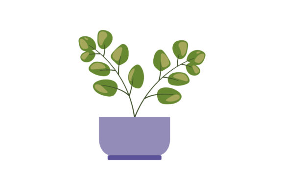 Aesthetic Plant Fresh: A Designer’s Real-World Review