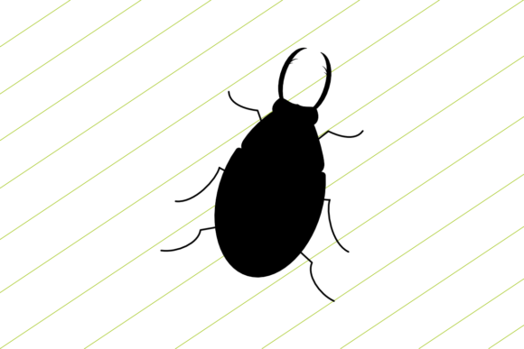 Beetle: A Versatile Graphic Design Asset for Modern Content Publishing