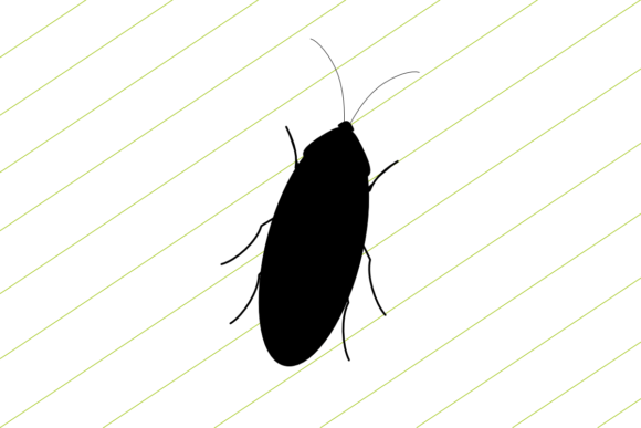 Cockroach Graphics Freebie: A Bold Design Asset for Content Creators